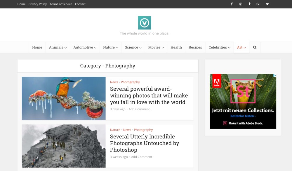 SIPA 2017 - thevividworld