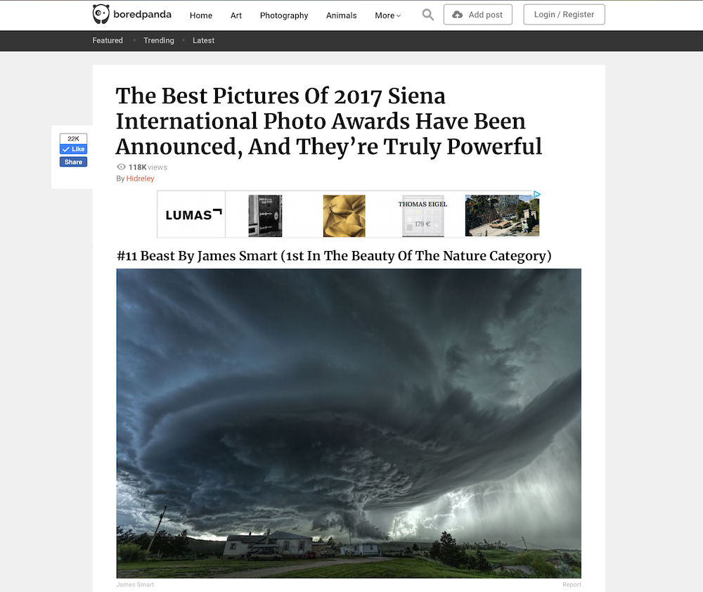 boredpanda SIPA 2017